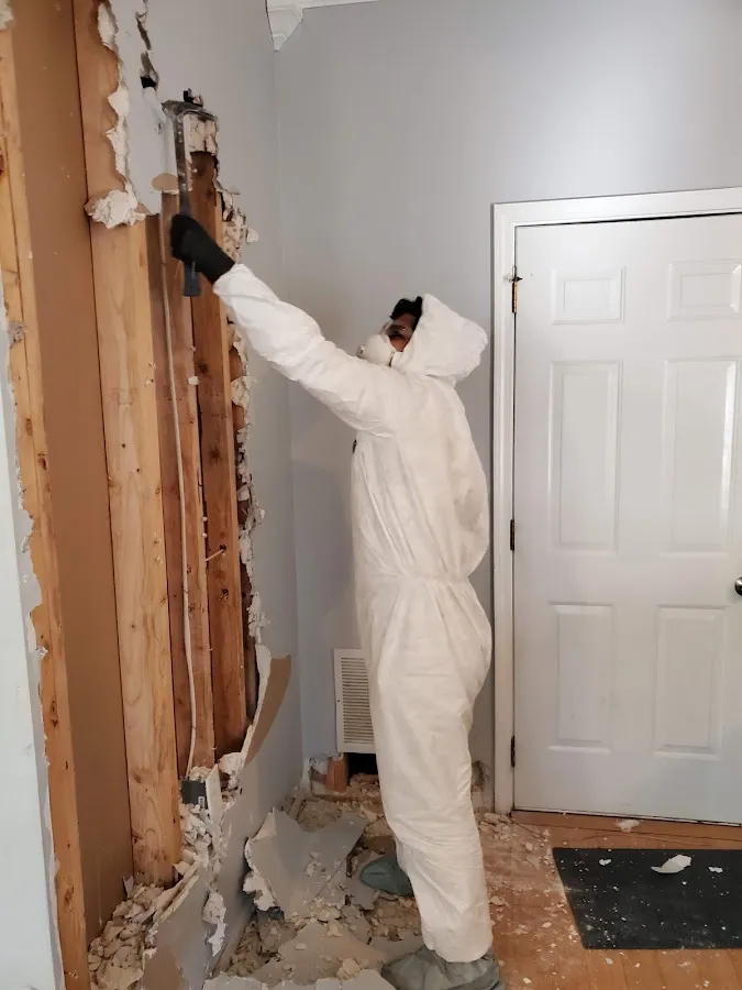 Water Damage Restoration services in Little Falls, MN
